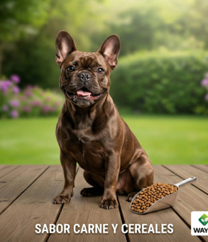 Gemini_Generated_Image_qrmyy8qrmyy8qrmy