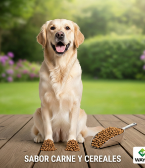 Gemini_Generated_Image_xsl4ipxsl4ipxsl4